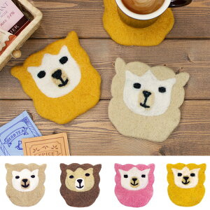 ApJtFCX R[X^[ 킢@tFgR[X^[@CG[@sN@nhCh@