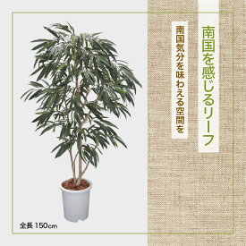 ショウナンゴムノキ 150cm(ショウナンアルステルダムキング 造花 インテリア 人工観葉植物 1.5m おしゃれ 大型 室内 フィカスイレグラリス) #05