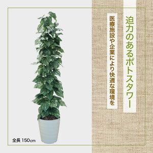 y@llzWCAg|gX|[ 150cm ( CeA   lH ϗtA  fBXvC X 蕨 tFCN O[ vc)#05