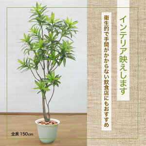 y@llz\OIuW}CJ 150cm (hZi tFCNO[  lHϗtA 1.5m CeA    ) #05