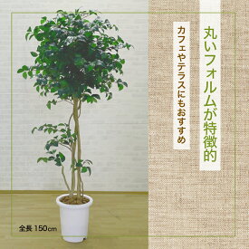 カメリアツリー 150cm (椿 ツバキ 花 人工 観葉植物 インテリア フェイクグリーン おしゃれ 1.5m)　#05