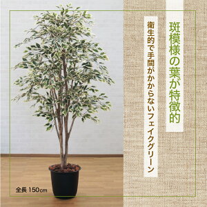 y@llznCAtBJX150cm (tFCNO[ lH lHϗtA  1.5m)@#05