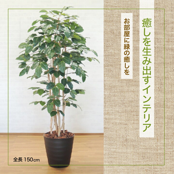 楽天市場 菩提樹 150cm ベンガレンシス 人工 観葉植物 大型 インテリア 店舗内装 フェイクグリーン 造花 ボダイジュ 植栽 05 創業70年パーテーションのコマイ 楽天市場 菩提樹 150cm ベンガレンシス 人工 観葉植物 大型 インテリア 店舗内装 フェイクグリーン 造花 ボダイジュ 植栽 05 創業70年パーテーションのコマイ