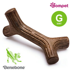 yzRr xl{[ [vXeBbN WCAg compet