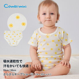 【25%OFF】《コンビミニ》さらさらキープショーツ（マーガレット） : 女の子 90cm 100cm 110cm 120cm 130cm | 肌着 夏服 子供 パンツ 下着 キッズ こども 子ども 夏用 夏 速乾 ガールズ 幼児 小学生 保育園 花柄 フラワー【メール便2枚まで】