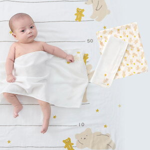 y20%OFFzsRr~jtpK[[2gi邭܁j : j̎q ̎q | K[[nJ` Ԃ xr[ 킢 K[[  nJ` ^I C K[[^I oY xr[