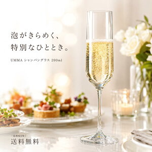ボヘミア グラス シャンパングラス」の人気商品一覧・価格比較 - 価格.com