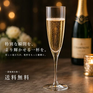 �H��@�Ή� �V�����p���O���X 220ml 6�Z�b�g �{�w�~�A���O���X �N���X�^���b�N�X KATE 40796-220-6 �t���[�g