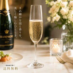 ボヘミア グラス シャンパングラス」の人気商品一覧・価格比較 - 価格.com