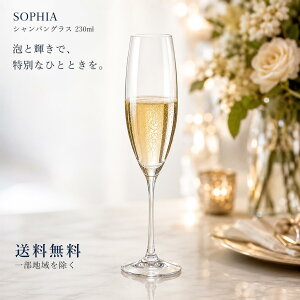 ボヘミア グラス シャンパングラス」の人気商品一覧・価格比較 - 価格.com