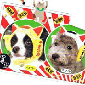 LXq@LLTCY@y3054z@蕨@nEB@ϐg