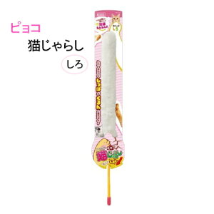 sRL炵@L̂ @}Jy˂@lR炵zo[ƔL̎肪sRsR􃊃AȓɔLÁXI