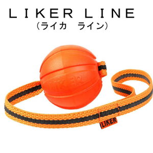 CJC9@a9cm@y@^pz@̃[v