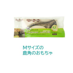 xj\Ag[@MTCY@i12cmj@@ybc[gyf^gC@VRfށ@^E^pzpߋI VRf100AFA@XgXU