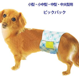 楽天市場 超大型犬用オムツの通販
