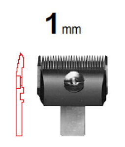 Xs[fBbNoJp ֐n 1mmy֐nłIz