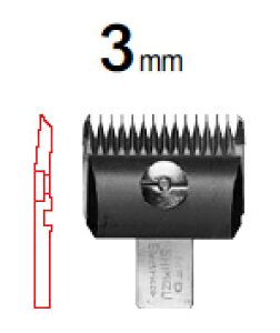 Xs[fBbNoJp ֐n 3mmy֐nłIz