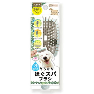 r[eB[[h@X̃gl Ƃ낯قXpuVyELp@сEZOK@юz}bT[WAubVOAVv[AhC[ȂǕLgXpuVB