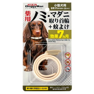 hM[}nV@pm~E}_jց{悯@^py@m~@}_j@m~@悯@@p򕔊Oiz1{ŁA7ʂIg߂ȌEނ