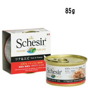 VVA@Lbg@ciGr@85g@Lp@[[NbLOEH[^[^Cv@Schesir Cat SeriesyLbgt[h@EFbg@ʁzYEF@ƕLȃC^AV