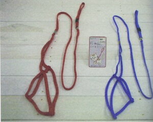 yNlR䂤pPbg@200~z@ɂn[lX[h@bh/u[@̏d3kg܂Ł@yLpi@[h@ցz킢L̂Upn[lX[h@@yNWbg