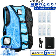 【楽天ランキング1位】 保冷パック6個セット 大進 水冷服 ペルチェベスト のハイブリッド 水冷ベスト フ…