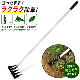 【楽天ランキング受賞】 大進 草取りレーキ 龍の爪 長柄 根こそぎ 雑草取り 草刈り 雑草取り 道具 立ったまま 種類 草取り器 立っ た まま 庭 の 雑草 ブラシ むしり らくらく 除草 畑 あぜ 道 公園 女性 庭 草刈 軽量 軽い お手軽 雑草 根こそぎレーキ 草取り器具