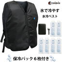 【楽天ランキング1位】 保冷剤6本入り の お得セット 大進 ひんやり 水冷服 水冷ベスト フリーサイズ 大きいサイズ モ…