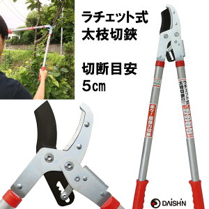 yyVLO1ʁz 5cm܂ł̎}؂ i `Fbg}؂ 50mm }  } } nT~  | _  _ ƒ؉ p H }؂oT~ S y 