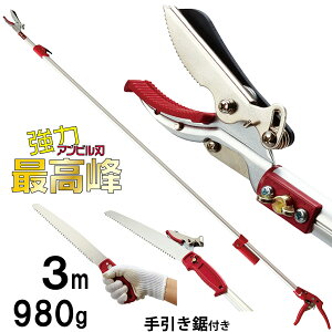 yyVLO1ʁz Œ3m ͂ȃArn t }؂oT~ i  mRM }  } } Lb`@\ ƂȂ }؂  }΂ ͂