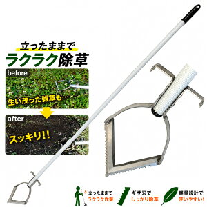 �y�y�V�����L���O1�ʁz ���� ������������� ��i �G�����N �V�F�[�o�[ 1200mm�� ����� �� ����� ������ �L �G���Ƃ� �G����� ���� ��� �������܂܃��[�L ���� �� �� �N�T�J�� ������ 