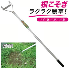 【楽天ランキング1位】 大進 削る君シリーズで一番削れます 除草道具 雑草削る君 3号 全長1m 草刈りレーキ 草取り 草削り 雑草 ブラシ とり 道具 種類 立ったまま 草取り器 雑草抜き 立っ た まま 庭 の 雑草むしり らくらく 除草 畑 あぜ 道 公園 女性 庭 雑草取り