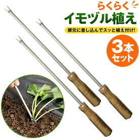【楽天ランキング1位】 大進 ダイシン らくらくイモヅル植え器 お得な3本セット 大進 さつまいも 植え付け 器 苗 マルチ らくらくイモヅル植え器 ステンレス 芋 イモ 芋づる イモツル イモヅル マルチ 園芸 ガーデニング 農業 女性 庭 農作業 家庭菜園