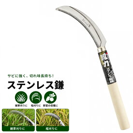 大進 鳳力 ステンレス鋸鎌 鎌 農作業 家庭菜園 草刈り 草取り 道具 草むしり 園芸 ガーデニング 農業 女性 庭 農作業 家庭菜園 用具 工具 カマ 草刈り鎌 草刈り 農業 女性 庭 農作業 家庭菜園 草取り 木柄 軽量 女性 稲刈り鎌 カマ かま 手動草刈り 便利 切れる 雑草