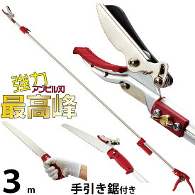 【楽天ランキング1位】 最長3m 強力なアンビル刃 手引き鋸付き 高枝切りバサミ 大進 手引き ノコギリ 高枝 鋏 太い枝 高枝切鋏 キャッチ機能 落とさない 枝切り鋏 剪定鋏 枝きりばさみ はさみ 高枝狭 高枝切りノコ たかえだきりばさみ 高枝切り 超軽量 枝切りはさみ 伸縮