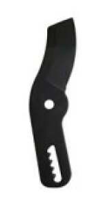 EVERGREEN `Fbg}p@֐n i | K[fjO _   _ ƒ؉ p H