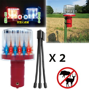 yyVLO܁z hbCg \[[ DLS-BL001@2ZbgI i tLVuOr LED Qb  ΍  hJ ԓ_ ފ dsv