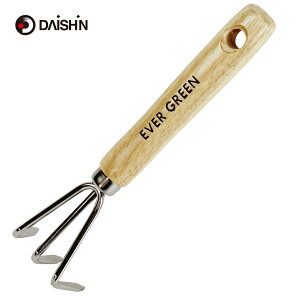 EVERGREEN ؕXeX~jO{N}f