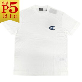 アルマーニ Tシャツ 6K1TE0 メンズ エンポリオ アルマーニ 丸首 半袖 ロゴマーク 刺繍 オフホワイト Lサイズ 41201 新品