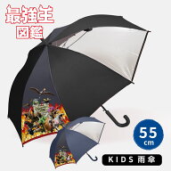 雨傘 長傘 最強王グッズ 最強王図鑑 ジャンプ式 学研LIVE 男児用 小学生 男児 無地 透明窓 見えやすい 男…