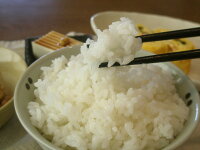 ご飯
