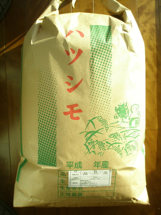 楽天市場】新米【令和7年度産】送料込み【生産者直売】 岐阜の米《代表 