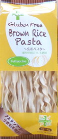 【グルテンフリー】 玄米パスタ フェットゥッチーネ 80g（1食分）◆【アレルギー特定原材料28品目不使用】世界農業遺産認定地域（清流長良川上中流域）にて栽培、製造しております。