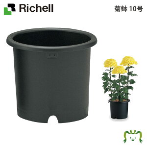 e 10b`F a32.5×28cm ye14L K[fjO |  Jo[ Aؔ  v^[ vX`bN ی` ~` ~`