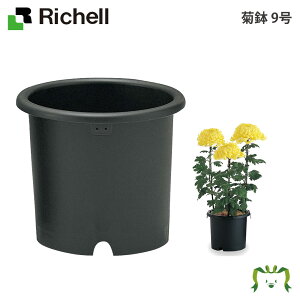 e 9b`F a30×25.5cm ye9L K[fjO |  Jo[ Aؔ  v^[ vX`bN ی` ~` ~`