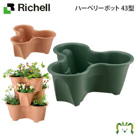 楽天市場 イチゴ プランター 花 ガーデン Diy の通販