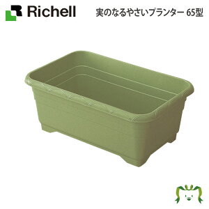 ̂Ȃ₳v^[65^b`F 65×s42×26cm e45L K[fjO |  Jo[ Aؔ ƒ؉ vX`bN  t