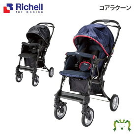 楽天市場 セール 種類 ベビーカー 両対面 A型 ベビーカー本体 ベビーカー キッズ ベビー マタニティの通販