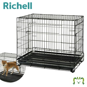 y݌ɌzvtFbViybgP[W XLb`F Richell ƖpƂĂgybgP[WB