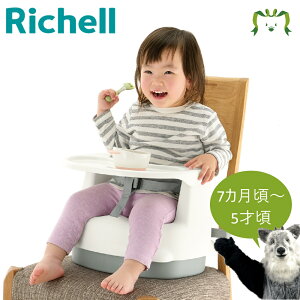 2WAY`FAKN7J`5ˍ b`F xr[ [`FA e[ut xgt 7P Ԃ ֎q q u[`FA CXunC`FA u[X^[`FA _CjO`